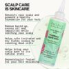 Pacifica Scalp Detox Tonic – Rosemary Apple Cider Scalp Exfoliator - Scalp Scrub w/ Salicylic Acid for Clarifying Build Up & Purifying - Itchy, Dry Scalp Treatment , Vegan & Cruelty-Free, 5 oz