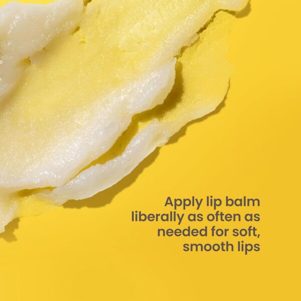 Burt's Bees Shea and Aloe Moisturizing Lip Balm, Lip Moisturizer With Responsibly Sourced Beeswax, Tint-Free, Natural Origin Conditioning Treatment, 4 Tubes, 0.15 oz.