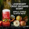 Old Spice Aluminum Free Deodorant for Men, 24/7 Odor Protection, 24/7 Freshness & Lasting Scent, Goes on Clear, Bearglove with Crisp Orchard Scent, 3.0 oz (Pack of 3)