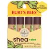 Burt's Bees Shea and Aloe Moisturizing Lip Balm, Lip Moisturizer With Responsibly Sourced Beeswax, Tint-Free, Natural Origin Conditioning Treatment, 4 Tubes, 0.15 oz.