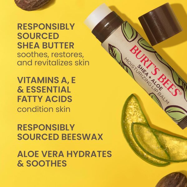 Burt's Bees Shea and Aloe Moisturizing Lip Balm, Lip Moisturizer With Responsibly Sourced Beeswax, Tint-Free, Natural Origin Conditioning Treatment, 4 Tubes, 0.15 oz.