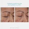 NEOSTRATA RESTORE Hydra Filling PHA Eye Cream, Hydrating and Lifting Anti-Aging Eye Treatment for Fine lines & Wrinkles with Hyaluronic Acid, Vitamin C& E, and Green Tea Extract, 0.5oz