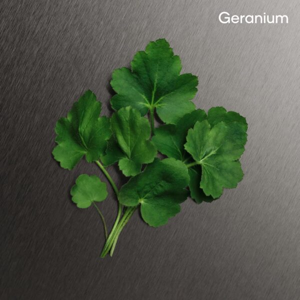 Calvin Klein Eternity For Men Aftershave - With Notes of Bergamot, Geranium, Sandalwood, and Amber