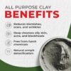 Mayan Magic Mud Powerful Deep Pore Cleansing Calcium Bentonite Clay - 1 lb - Natural Face Mask Peel for Men and Women - USA Made Full Facial Skin Care - Spa Level Skin Cleanser Beauty Products