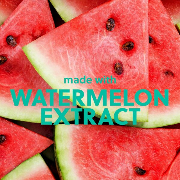 Tree Hut Sugar Lips Lip Butter Watermelon