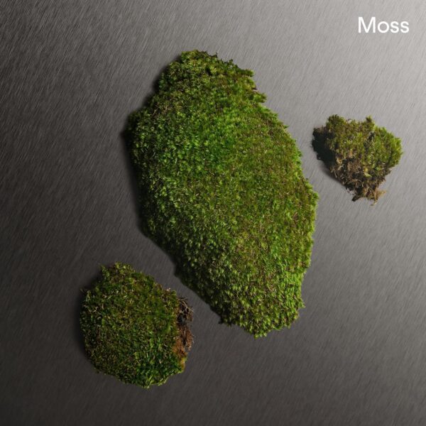 Calvin Klein Eternity For Men Aftershave - With Notes of Bergamot, Geranium, Sandalwood, and Amber