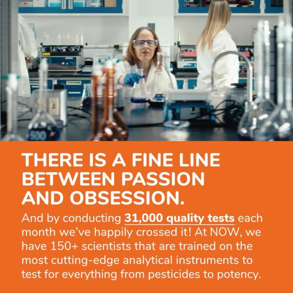 NOW Foods Supplements, Hyaluronic Acid 50 mg with MSM, Joint Support*, 60 Veg Capsules (Pack of 1)