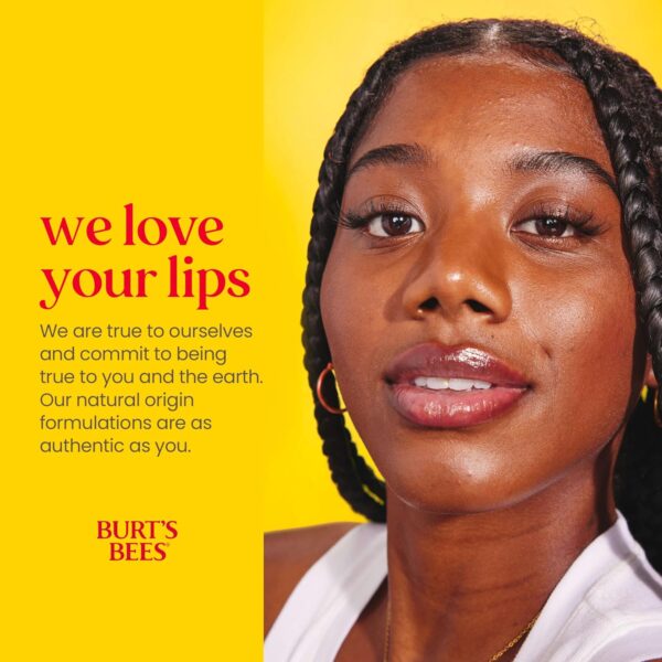 Burt's Bees Lip Balm - Pomegranate, Lip Moisturizer With Responsibly Sourced Beeswax, Tint-Free, Natural Origin Conditioning Treatment, 4 Tubes, 0.15 oz.