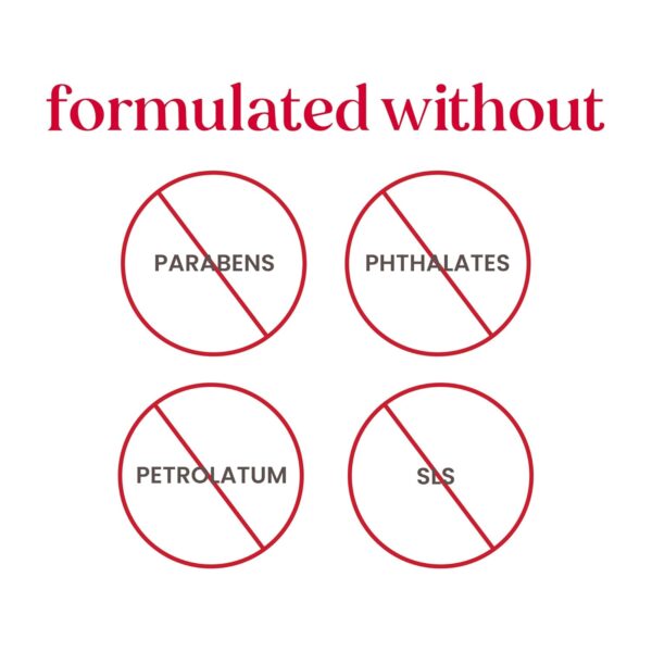 Burt's Bees Lip Balm - Pomegranate, Lip Moisturizer With Responsibly Sourced Beeswax, Tint-Free, Natural Origin Conditioning Treatment, 4 Tubes, 0.15 oz.