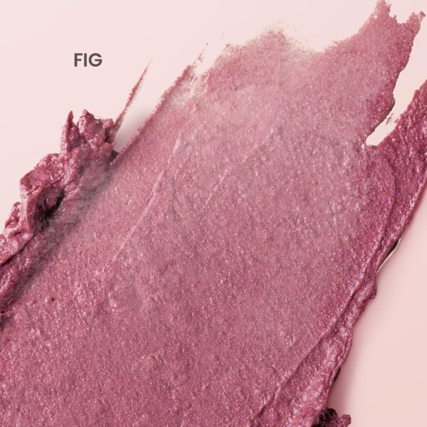 Burt's Bees Shimmer Lip Tint, Tinted Lip Balm Stick, Moisturizing for All Day Hydration with Natural Glowy Pigmented Finish & Buildable Color, Fig, 1 Tube, 0.09 oz. (Pack of 2)