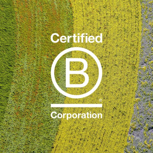 Davines MELU Conditioner, Anti-Breakage Conditioner For Long Hair And Damaged Hair