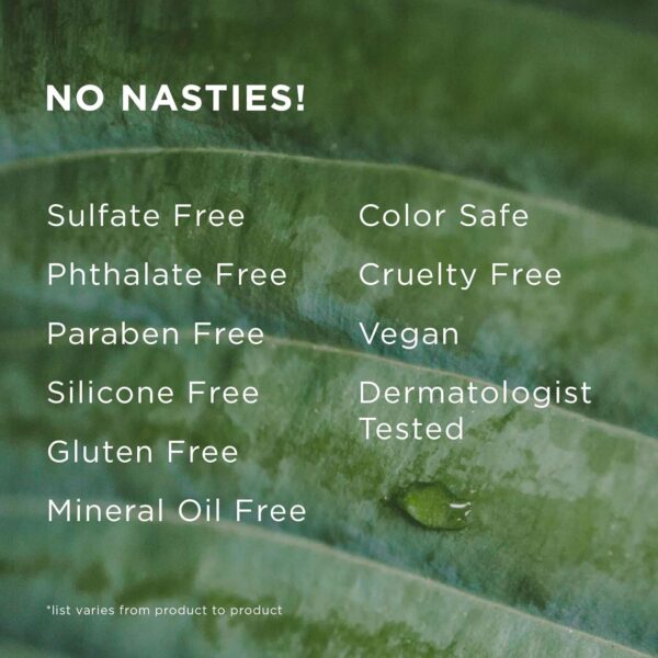 Hairitage Anti-Dandruff Shampoo - Moisturizes,Soothes Dry, Flaky Scalp - Reduce Scalp Irritation with Rosemary Oil - 13 fl oz + Balancing Conditioner - 26 Ounce