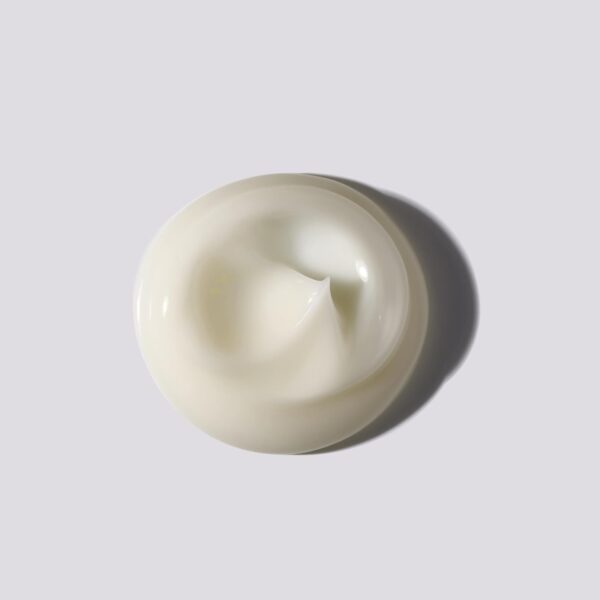 Essence Absolue Nourishing Overnight Hair Serum - Hydrates and Detangles, Reduces Frizz and Enhances Shine, Lightweight Formula