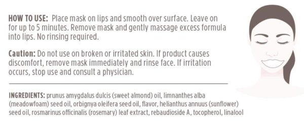 Burt's Bees 100% Natural Origin Moisturizing Lip Mask, Single Use Conditioning Lip Care , 1 Count (Package May Vary)