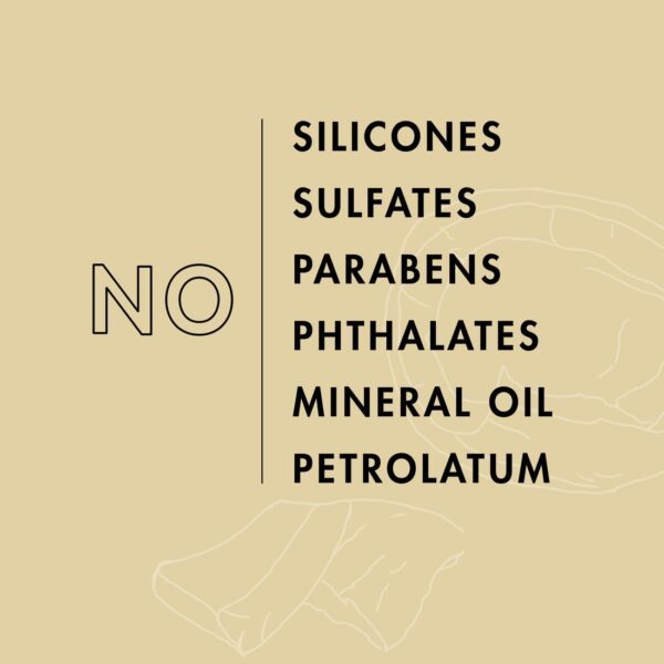 SheaMoisture Daily Hydration Shampoo 100% Virgin Coconut Oil for All Hair Types Sulfate-Free 13 oz