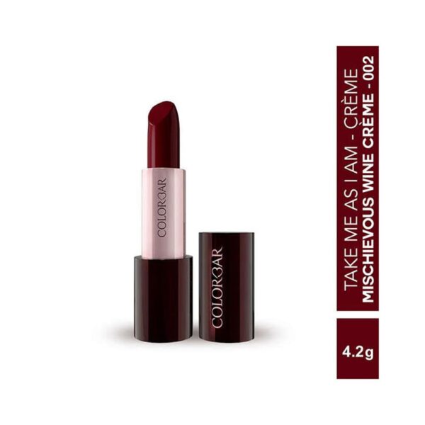 Take Me As I Am Vegan Matte Lipstick - Long Lasting Lipstick - Enriched with Vitamin E and Tea Tree Oil - 002 Mischievous Wine - 0.14 oz