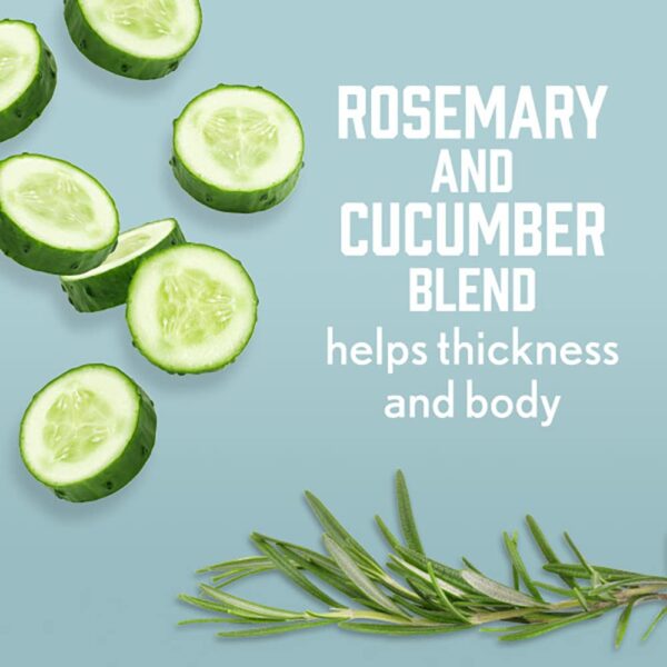 Aveeno Fresh Greens Shampoo and Conditioner Set, Sulfate Free, Clarifying & Volumizing for Thin or Fine Hair, Rosemary Peppermint Cucumber Nourish & Thicken, Color Safe Paraben Free, 12 Fl Oz, 2 Count