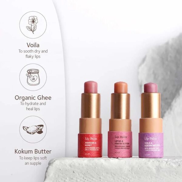 Ayurvedic Lip balm .Soul. tree's | Inriched with Orhanic ghee, Honey and hibiscus 001-3.5gm