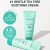 BRING GREEN Tea Tree Cica Soothing Cream Plus 100ml Korean Skin care, calming and soothing, moisturizer for skin, facial cream, trouble care, Blackhead Removing Pore care (Pack of 1)
