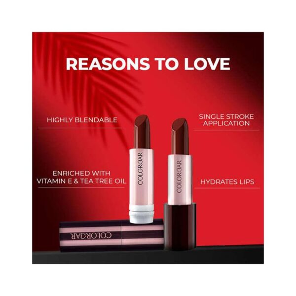 Take Me As I Am Vegan Matte Lipstick - Long Lasting Lipstick - Enriched with Vitamin E and Tea Tree Oil - 002 Mischievous Wine - 0.14 oz