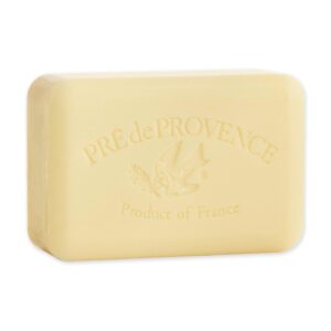 Pre de Provence Artisanal Soap Bar, Enriched with Organic Shea Butter, Natural French Skincare, Quad Milled for Rich Smooth Lather, 8.8 Ounce, Agrumes