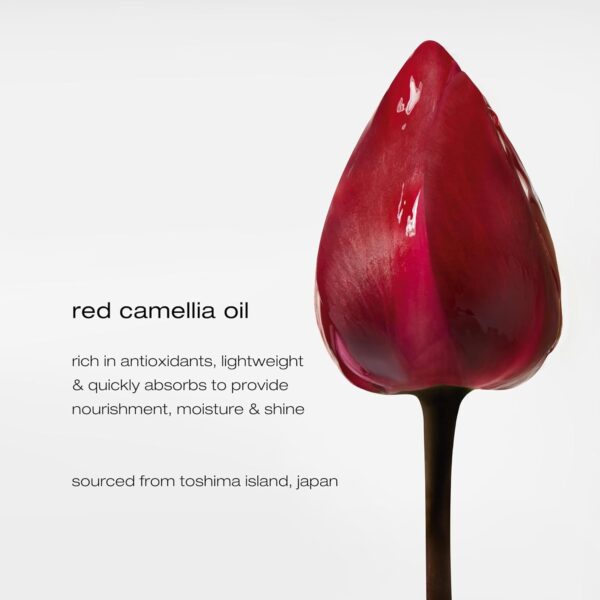 Essence Absolue Nourishing Overnight Hair Serum - Hydrates and Detangles, Reduces Frizz and Enhances Shine, Lightweight Formula