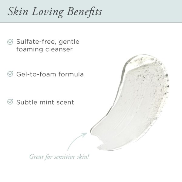 PÜR Beauty Sea Fresh Purifying Gel Foam Cleanser, Algae, Sea Kelp, Antioxidants, 5 FL oz