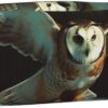 Flying Owl Pencil Pouch Large Capacity Pencil Case Leather Cosmetic Bag Office Desk Organizer Coin Pouch Portable Zipper Toiletry Bag for Travel Outdoor