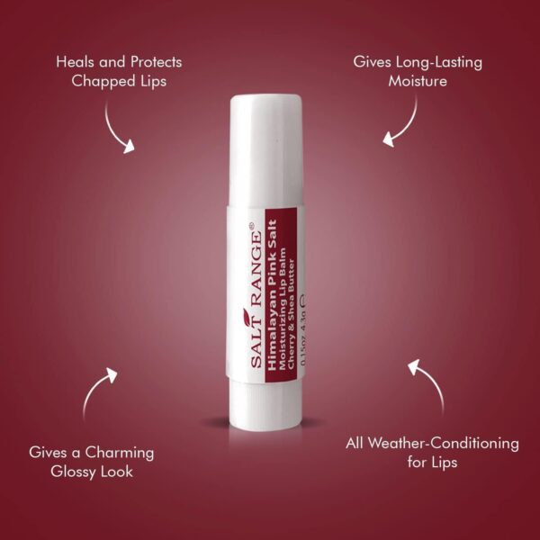 Natural Solution Lip Balm, Formulated with Cherry & Organic Shea Butter, Moisturizing Lip Care Multipack, Hydrating Moisturizer for Dry Lips, Organic Chapstick- 3 Count,6 Pieces