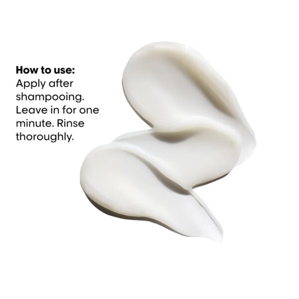 L'Oréal Professionnel Paris Absolut Repair Molecular Hair Mask - Repairs Damage & Restores Strength For Extremely Dry Damaged Hair, Extra Detangling & Hydration, Peptides Bonder