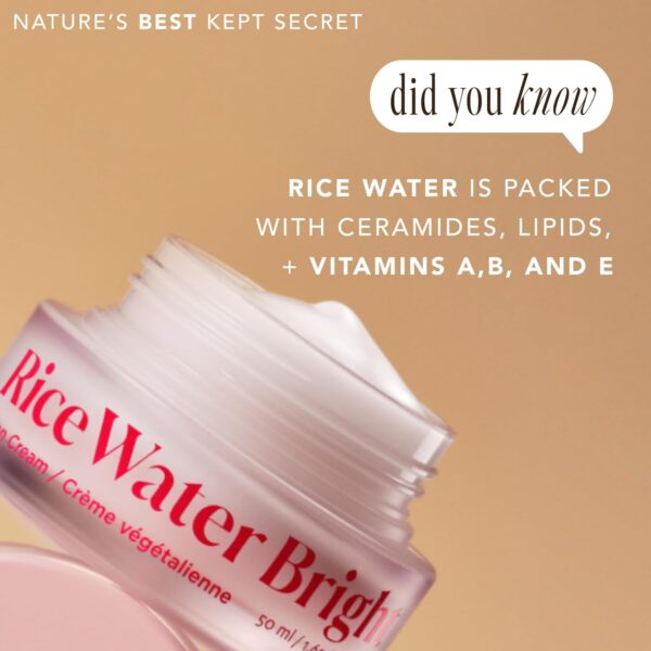 The Face Shop Rice Water Bright Vegan Cream - Instant Moisturization Quick-Absorbing Formula - Vegan, Brightening - Rice Water, Niacinamide, Hyaluronic Acid - Moisturizer Face Cream - Korean Skin Care