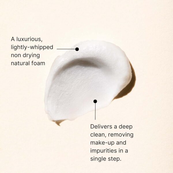 Jurlique Radiant Skin Foaming Facial Cleanser , 2.8 Oz (Pack of 1)