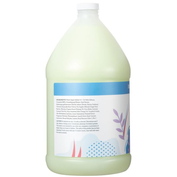 Ginger Lily Farms Botanicals Moisturizing Shampoo for All Hair Types, Island Tranquility, 100% Vegan & Cruelty-Free, Green Tea Lemongrass Scent, 1 Gallon (128 fl oz) Refill
