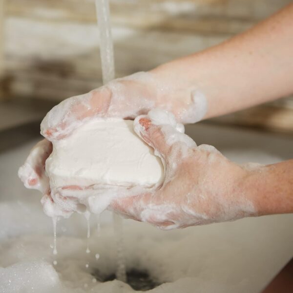 Pre de Provence Artisanal Soap Bar, Enriched with Organic Shea Butter, Natural French Skincare, Quad Milled for Rich Smooth Lather, 8.8 Ounce, Agrumes