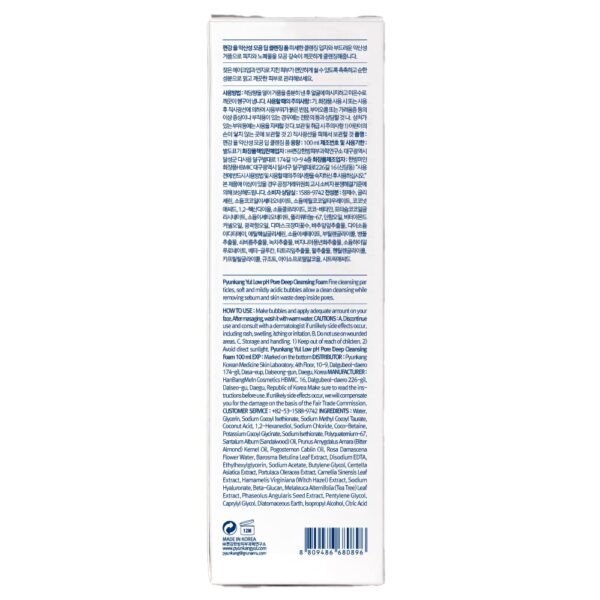 Pyunkang Yul [PKY] Low pH Pore Deep Cleansing Foam, Pore Cleanser with Fluffy Microbubbles, AHA, Witch Hazel, Zero Irritation, Korean Skincare (3.38 Fl. Oz, 100ml)