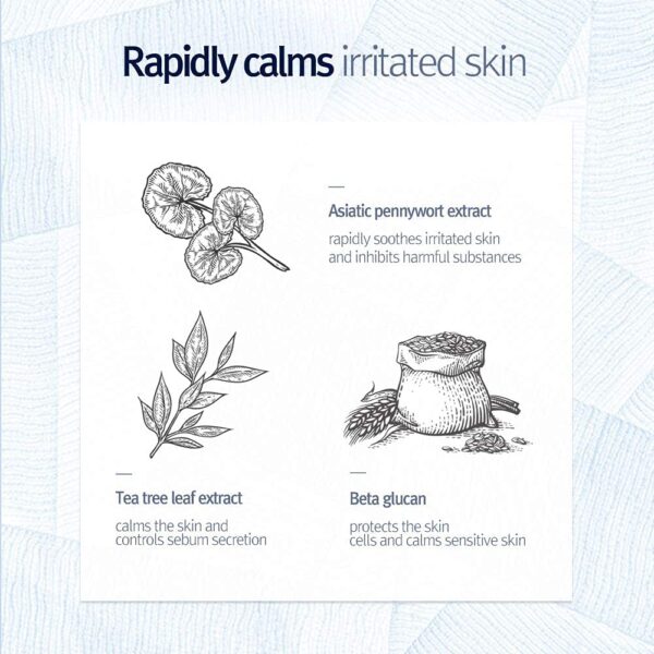 Pyunkang Yul [PKY] Low pH Pore Deep Cleansing Foam, Pore Cleanser with Fluffy Microbubbles, AHA, Witch Hazel, Zero Irritation, Korean Skincare (3.38 Fl. Oz, 100ml)