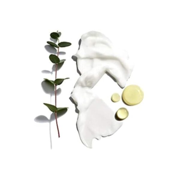 Jack Black Beard Lube Conditioning Shave - Mens Gifts, Beard Conditioner for Men, Beard Softener for Men, Mens Beard Care, Mens Beard Conditioner, Christmas Gifts for Men, Beard Gifts for Him