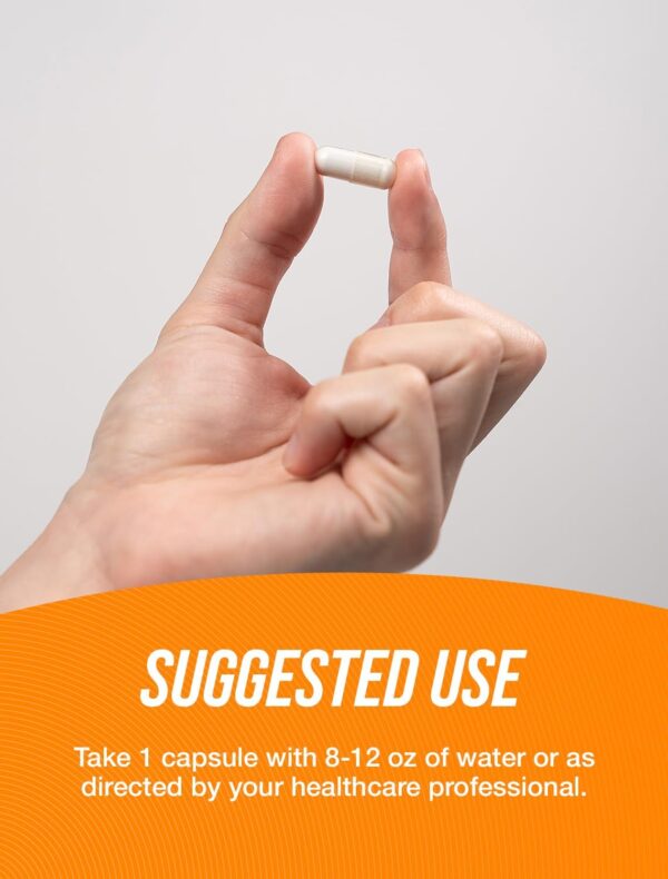 BulkSupplements.com Hyaluronic Acid Capsules - Hyaluronic Acid Supplements, Hyaluronic Acid 200mg - Pure & Gluten Free, 1 Capsule per Serving, 240 Count (Pack of 1)