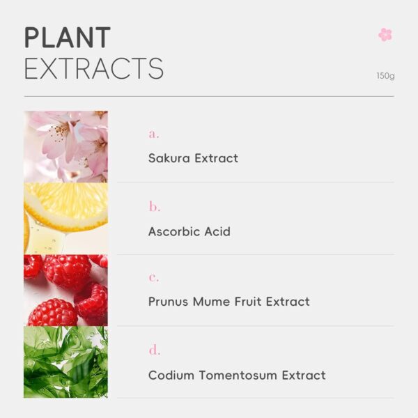 FEESHOW Daily Facial Cleanser Cherry Blossom 150g Gentle Face Wash for Women Girls Hydrating Moisturizing Sakura Foam Cream Soft Skin Deep Cleanse Pink One Size