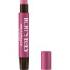 Burt's Bees Shimmer Lip Tint, Tinted Lip Balm Stick, Moisturizing for All Day Hydration with Natural Glowy Pigmented Finish & Buildable Color, Watermelon, 1 Tube, 0.09 oz. (Pack of 2)
