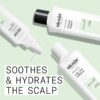 Nioxin Scalp Relief System Kit | For Sensitive Itchy Scalp | Made with Aloe Vera and Vitamin E | Trial Size