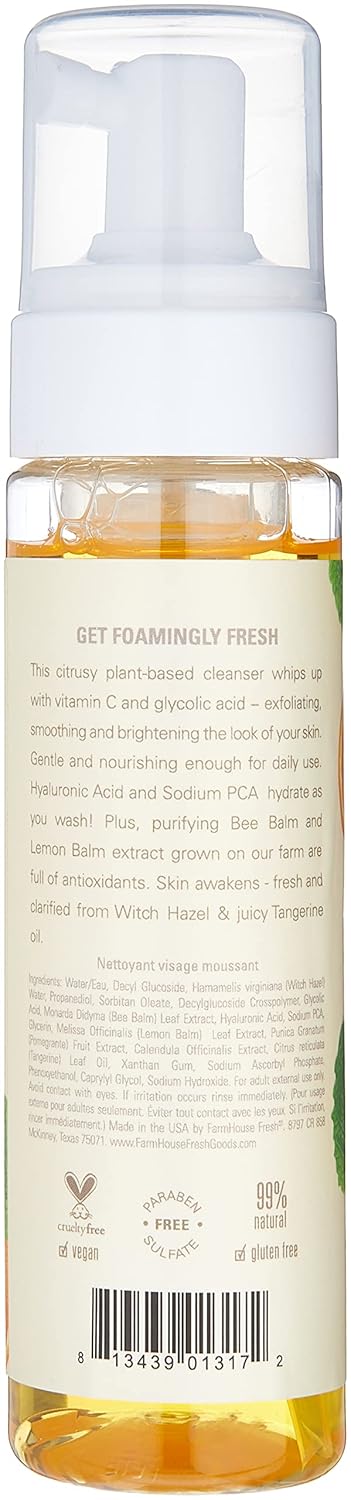 FarmHouse Fresh Foaming Face Wash, Cleanser. Hyaluronic Acid, Vitamin C, Glycolic Acid. C the Future Foam Facial Cleanser, 1.7 Fl Oz