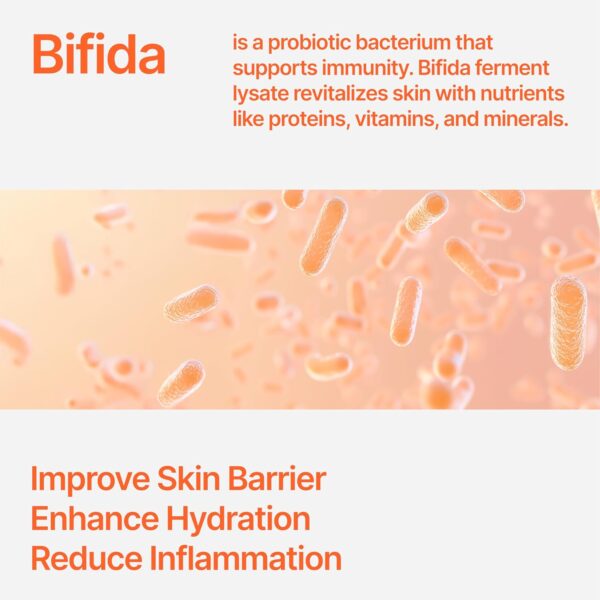 Bifida Barrier Ampoule, Mild and Moisturizing Korean Skin Care Face Serum Ampoule with Ceramide NP and Hyaluronic Acid for Hydration and Skin Elasticity, 50ml (1.69 Fl. Oz.)