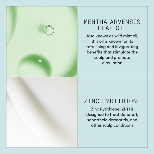 Nioxin Scalp Recovery System Scalp Soothing Serum | With Pyrithione Zinc and Green Tea Extracts | 3.38 Fl Oz