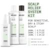 Nioxin Scalp Relief System Kit | For Sensitive Itchy Scalp | Made with Aloe Vera and Vitamin E | Trial Size