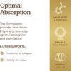 Solgar L-Lysine 1000 mg, 250 Tablets - Enhanced Absorption and Assimilation - Promotes Integrity of Skin and Lips - Collagen Support - Amino Acids - Non-GMO, Vegan, Gluten Free - 250 Servings