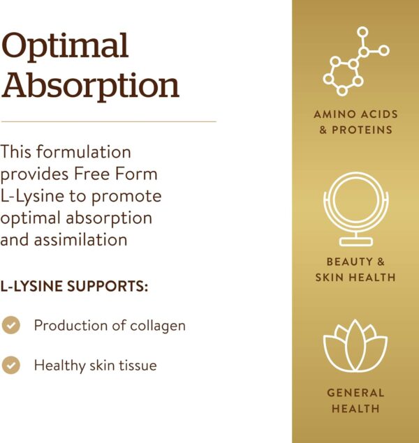 Solgar L-Lysine 1000 mg, 250 Tablets - Enhanced Absorption and Assimilation - Promotes Integrity of Skin and Lips - Collagen Support - Amino Acids - Non-GMO, Vegan, Gluten Free - 250 Servings