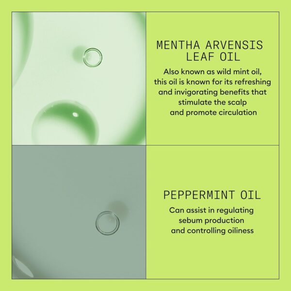 Nioxin System 2 Scalp + Hair Thickening Conditioner for Natural Hair with Progressed Thinning | Boost Hair Density with Niacinamide & Biotin | Refreshed Scalp with Healthy Shine