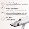 Panasonic Nanoe Salon Hair Dryer with Oscillating QuickDry Nozzle, Diffuser and Concentrator Attachments, 3 Speed Heat Settings for Easy Styling and Healthy Hair - EH-NA67-W (White)