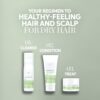 Wella Professionals Elements Renewing Shampoo| Gentle Sulfate & Silicone Free Shampoo| For All Hair Types